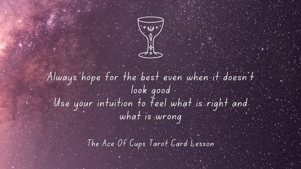 Lessons The Ace Of Cups Wants To Teach You