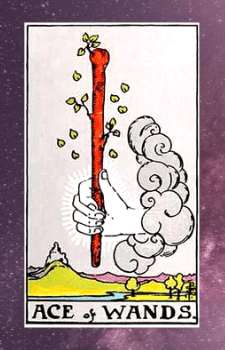 Ace Of Wands Tarot Card