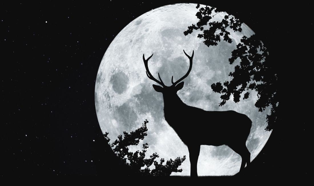 2022 July s Full Buck Moon What Does It Mean For Your Sign Anna 